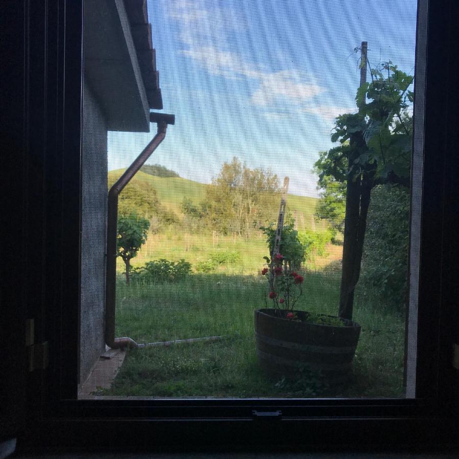 Appartement Il Canto Del Gallo à Murlo Extérieur photo