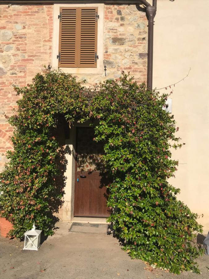 Appartement Il Canto Del Gallo à Murlo Extérieur photo